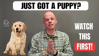 Bringing a Puppy Home? Avoid These Common Mistakes!