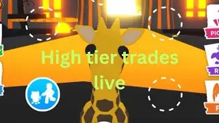 High tier pet trades in adopt me!