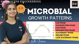 MICROBIAL GROWTH  PATTERNS | MICROBIAL GROWTH CURVE | BIOPROCESS ENGINEERING #bioprocessengineering
