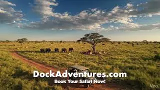 wild to memories of a lifetime &mdash; thank you DockAdventures.com for making our dream safari come true.