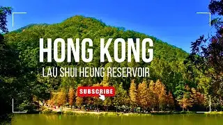 Beautiful Nature! Hong Kong&rsquo;s &ldquo;sky mirror&rdquo;  (with red leaves) 🍂 Lau Shui Heung Reservoir