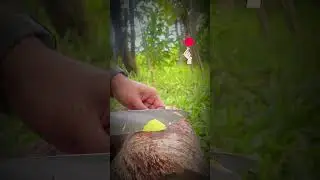 Удивительный нож #удовлетворительно, #asmr, проект grooh