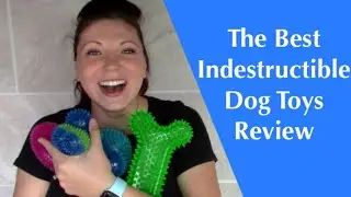 Tough Squeaky Dog Toys For Chewers Review *Pitbull Tested*