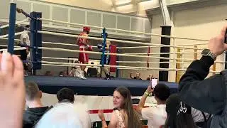 Boxkampf (blau gegen rot)