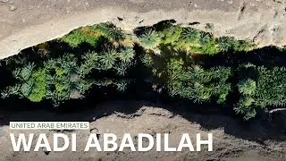 Wadi Abadilah - United Arab Emirates