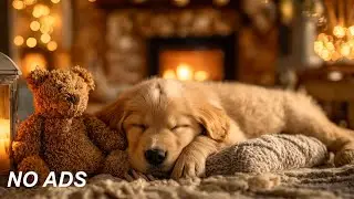 12 часов спокойной музыки для сна для тревожных собак 🐶🎵 Музыка для снятия тревоги разлуки у собак 💖