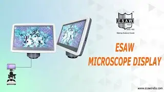 ESAW Scopepad Mini Microscope Screen