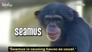Monkey life 11 tv series english subtitles