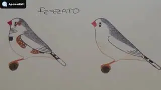 Le mutazioni del Diamante mandarino (terza parte)