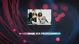 Tutoraggio per professionisti
