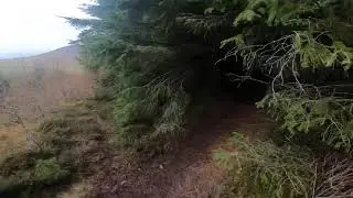Caberston Forest (The Golfies) MTB - 2nd Base - (30/12/18) - GoPro Hero 7 Black