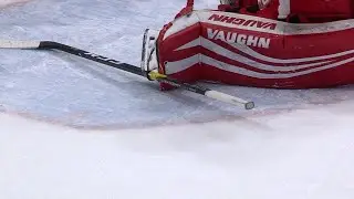 NHL: Sticks Getting Stuck Part 2