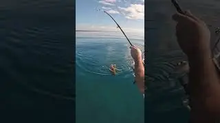 Pesca del polpo con il kayak eging