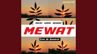Meri Hari Bhari Mewat
