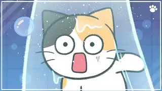 Cat Bathe: Why do cats hate and How to Handle