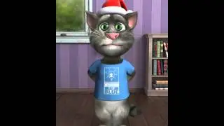 Talking Tom sings Can you feel it