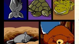 Hibernation and Migration Videos With Annie And Moby 2026 Edition 