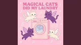 Magical Cats Did My Laundry (Love Me Tender?)