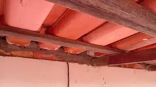 Morcego n&atilde;o pode entrar mais nunca!!
