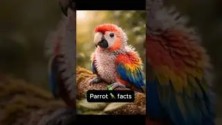 Parrot Facts That Will Shock You 🦜😳