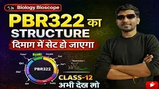 PBR322 Structure समझो आसान Trick से | Diagram सहित | Class 12 Biotechnology