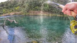 My Best Day Fishing!! Big fish