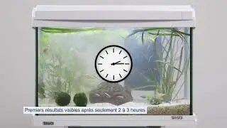 CrystalWater | &Eacute;limine l'opacification de l'eau en quelques heures