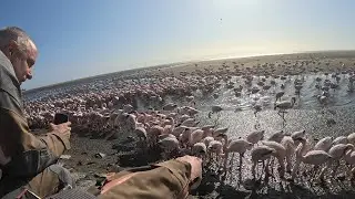 Motorcycle Adventure Big Five Trip in Southern Africa - Episode 8 H265HD