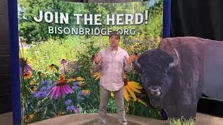 Chad Pregracke wants your support for Bison Bridge