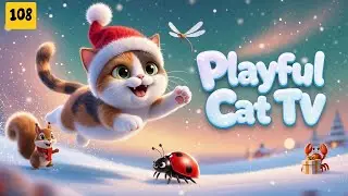 Playful Cat TV &ndash; Cat Games That Spark Cheer in Every Curious Whisker
