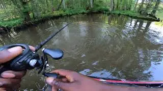 biggest bowfin (grendel) I have ever set the hook on !!! (4K)
