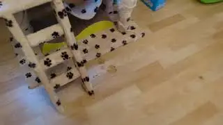 Ein herber R&uuml;ckschlag