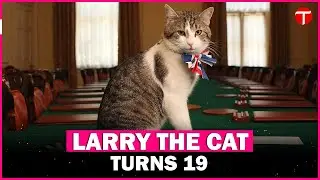 Britain’s most famous cat hits 19 as Larry’s long reign continues