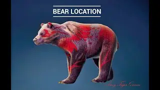 Bear Location in Once Human