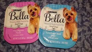 Purina Bella dog food bzzkit unboxing