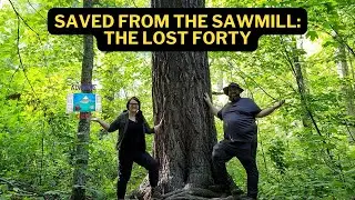The Lost Forty | Minnesota's Oldest Forest