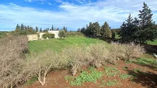 Registered farm for sale with a hectare House, location Morocco details are in the description