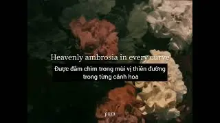 [Vietsub+ Lyrics] Johnny Stimson - Flower
