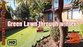 Keep Your Lawn GREEN Through Winter?