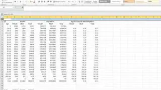 Soc 203: Death Rates