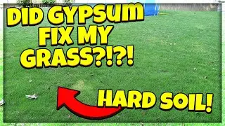 Did Gypsum Help Fix My Grass and Lawn with Hard Soil?