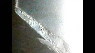 SCP-3636 about it (found footage) 1992