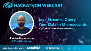 Java Streams: Query Your Data in Microseconds