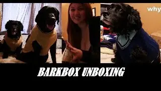 CHRISTMAS BARKBOX UNBOXING/PETSMART HAUL (try-on)