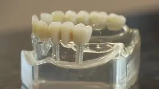 Progressive Dental