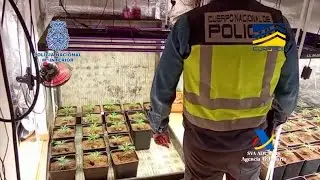 Golpe a la mayor financiera del narco en Europa, de 'hawala' a criptomonedas desde un restaurante
