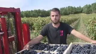 Les Saisonniers en Ventoux Comtat Venaissin / Grand Briançonnais