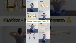 Upper Body Toning 💪 | Shoulder, Back & Arm Workout | #shorts