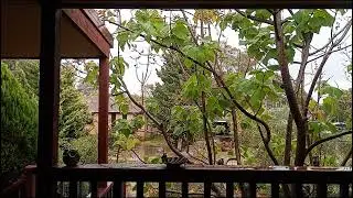FINALLY MORE RAIN (For Tuggeranong at Least) - Logan Mackenzie