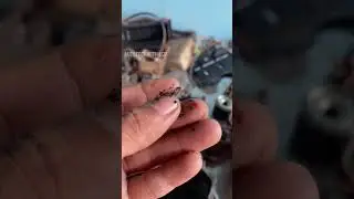 #shorts #engine oil sludge 🤯